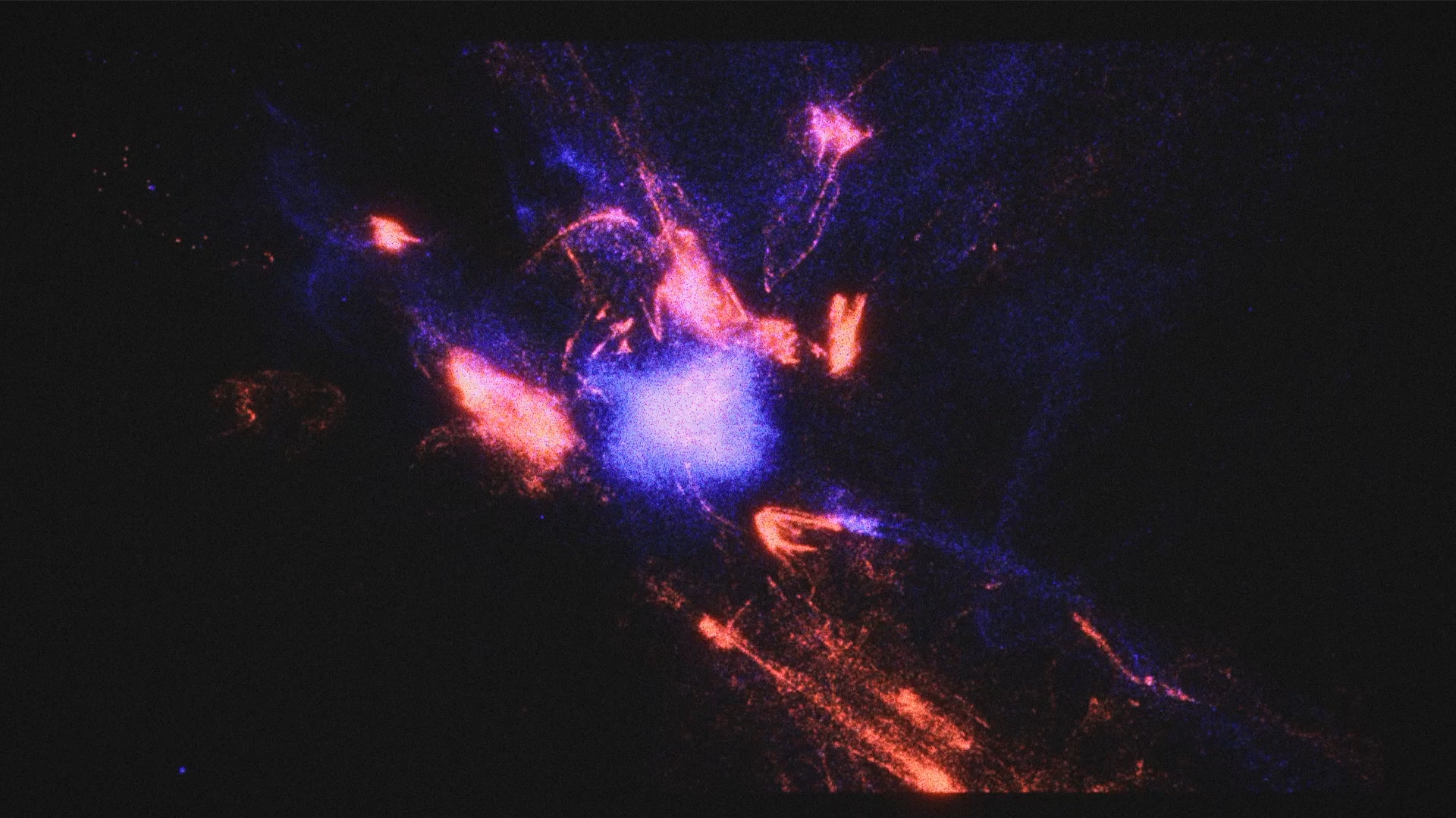 Audio reactive particle visual